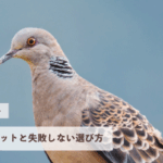 自分で設置できる鳩よけネットと失敗しない選び方