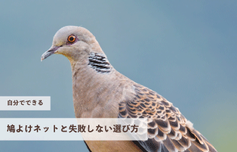 自分で設置できる鳩よけネットと失敗しない選び方