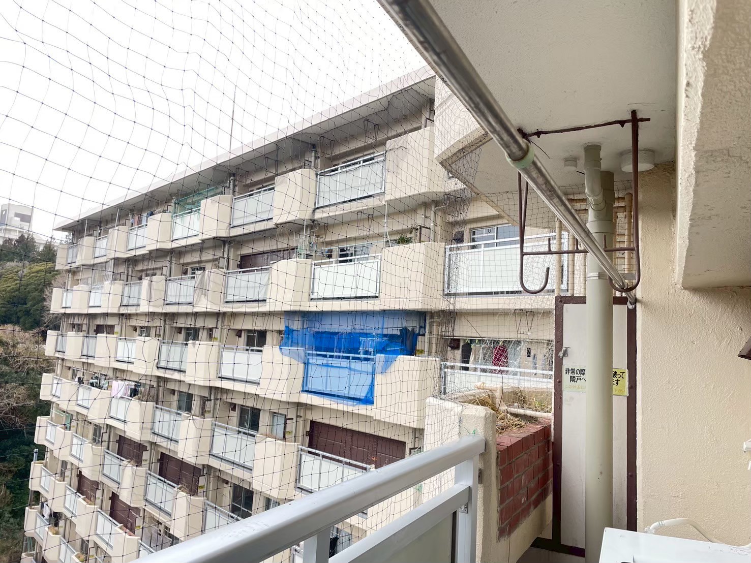 兵庫県神戸市のご住宅にて鳩除けネット設置工事の施工前写真