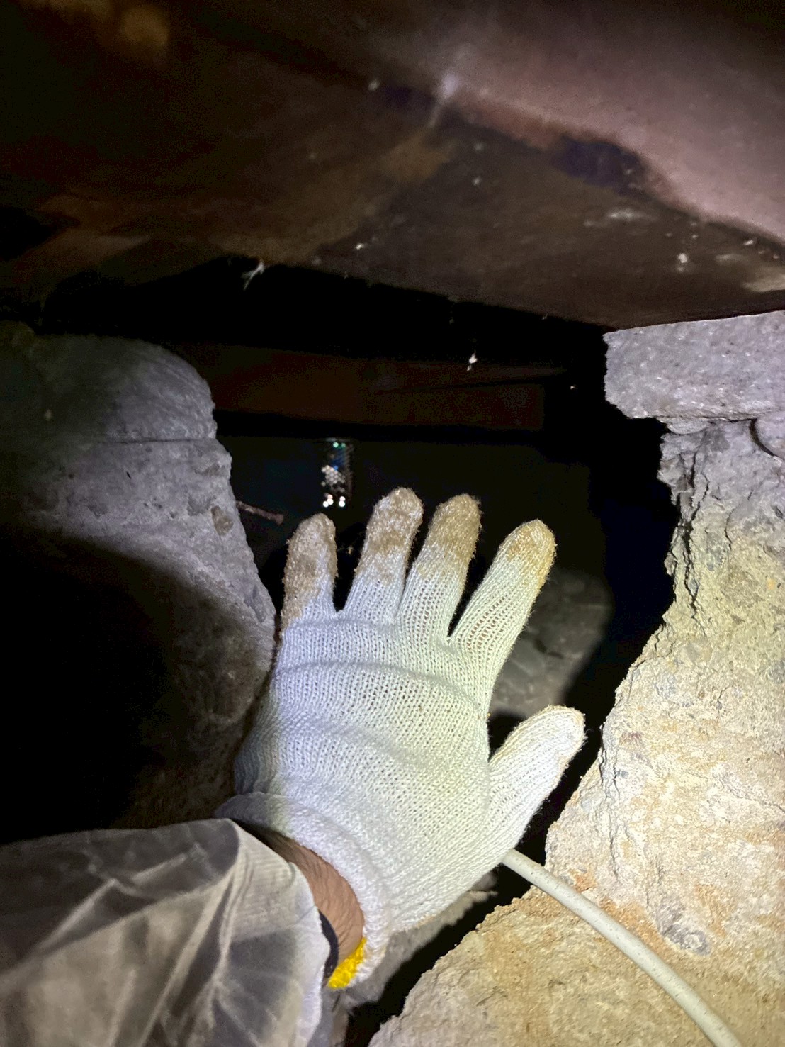 奈良県奈良市にてシロアリ駆除の施工前写真