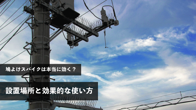 鳩よけスパイクは本当に効く？設置場所と効果的な使い方