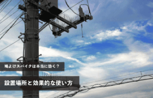 鳩よけスパイクは本当に効く？設置場所と効果的な使い方