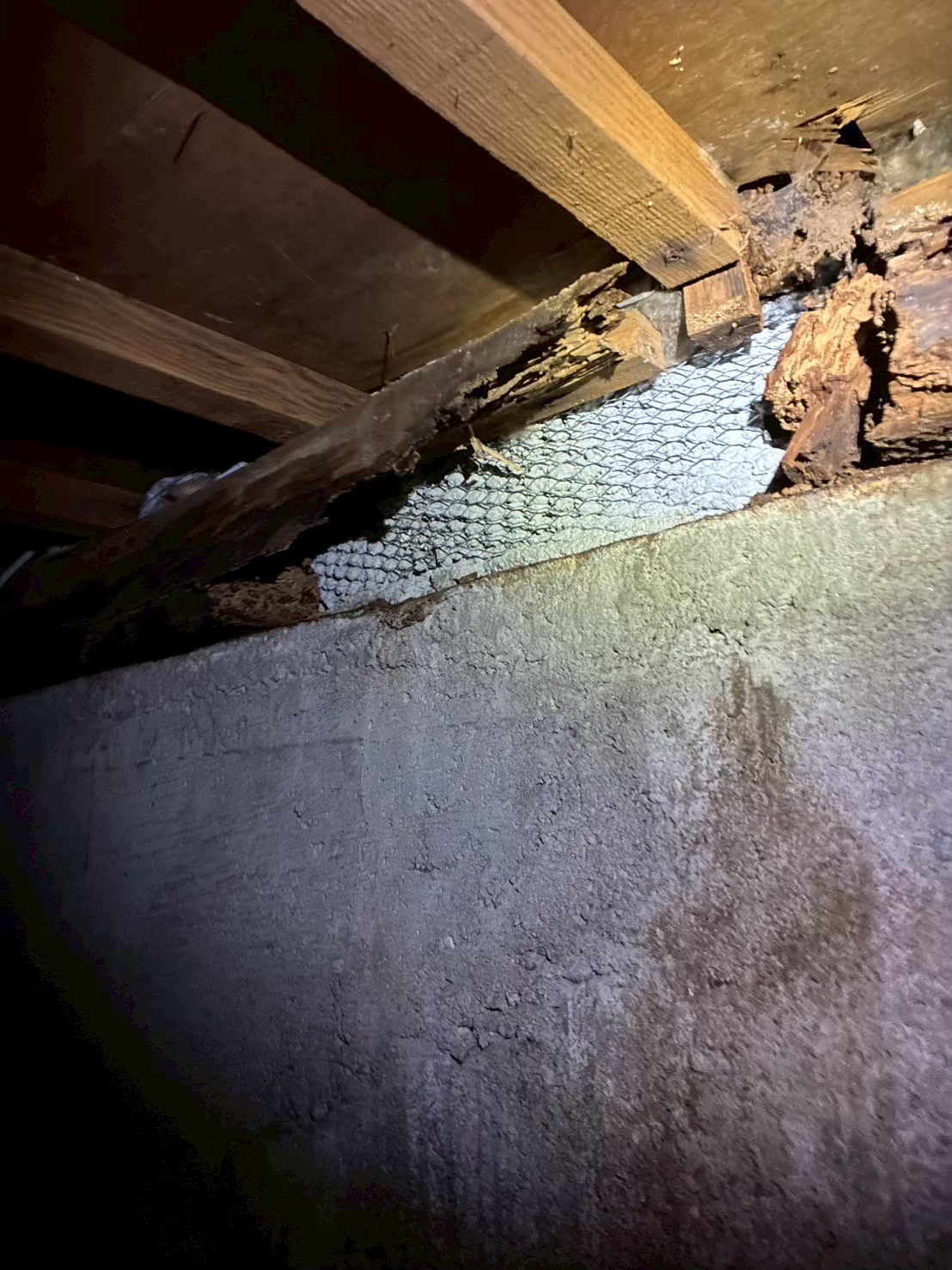 奈良県奈良市にてシロアリ駆除工事の施工前写真