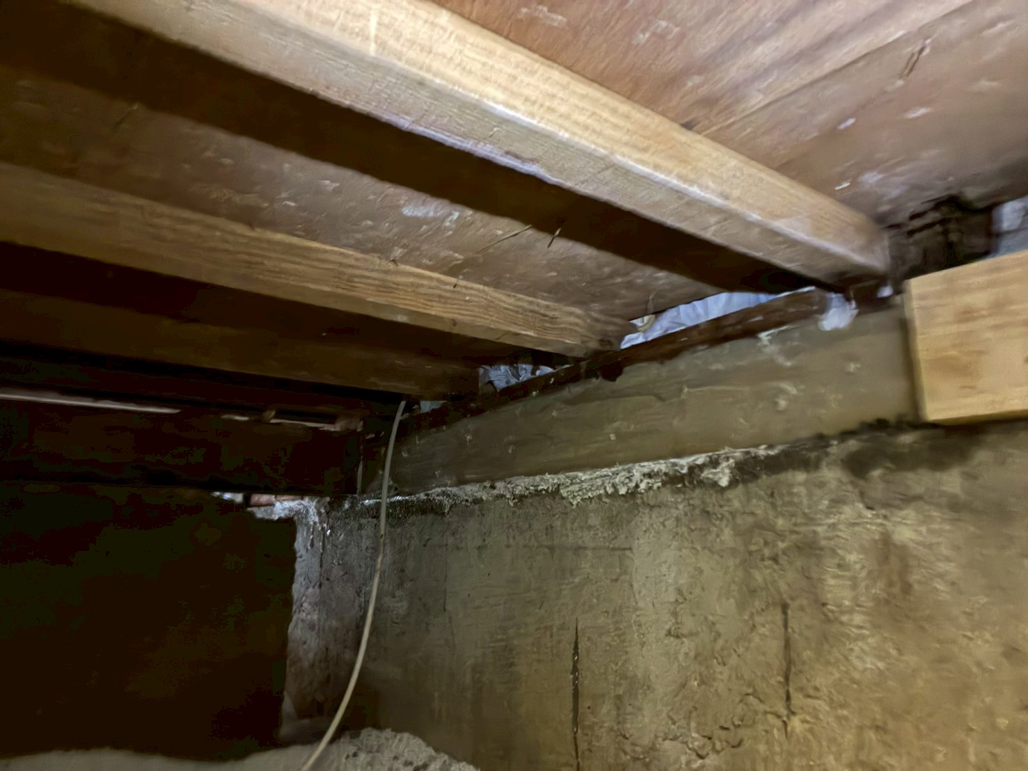 奈良県奈良市にてシロアリ駆除工事の施工後写真