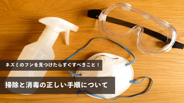 ネズミのフンを見つけたらすぐすべきこと！掃除と消毒の正しい手順