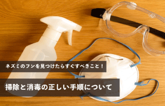 ネズミのフンを見つけたらすぐすべきこと！掃除と消毒の正しい手順