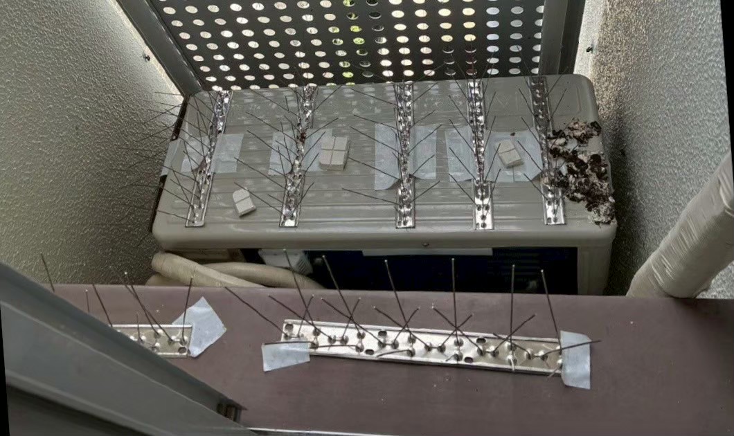 兵庫県川西市のご住宅にて鳩対策工事の施工前写真