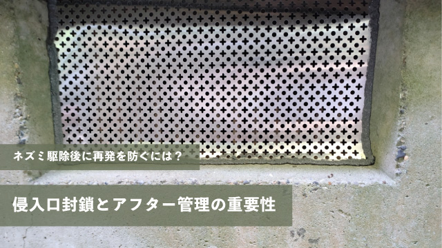 ネズミ駆除後に再発を防ぐには？侵入口封鎖とアフター管理の重要性