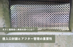 ネズミ駆除後に再発を防ぐには?侵入口封鎖とアフター管理の重要性