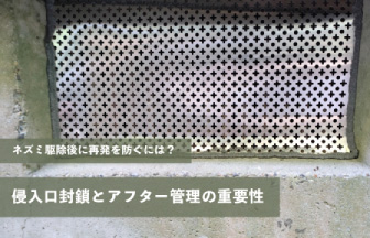 ネズミ駆除後に再発を防ぐには？侵入口封鎖とアフター管理の重要性