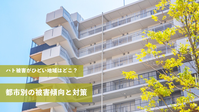 ハト被害がひどい地域はどこ？都市別の被害傾向と対策