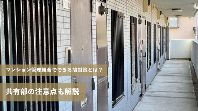 マンション管理組合でできる鳩対策とは？共有部の注意点も解説