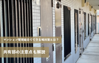 マンション管理組合でできる鳩対策とは？共有部の注意点も解説