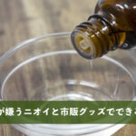 ネズミが嫌うニオイと市販グッズでできる対策