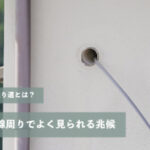 ネズミの通り道とは？