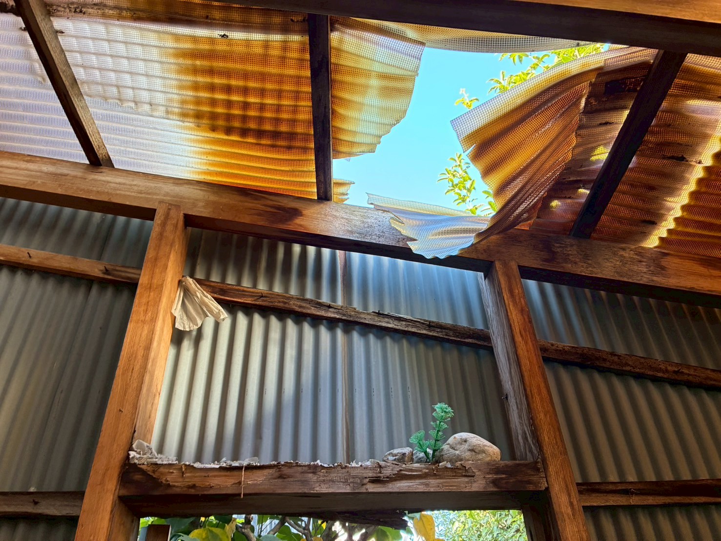 奈良市三条大路にて倉庫のシロアリ駆除・補修工事の施工前写真