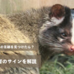 住宅被害のサインを解説