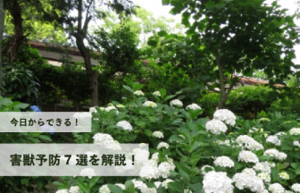 今日からできる害獣予防7選を解説！