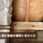 天井裏に潜む害獣の種類と見分け方【音・臭い・フンで判断】