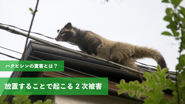 放置することで起こる2次被害