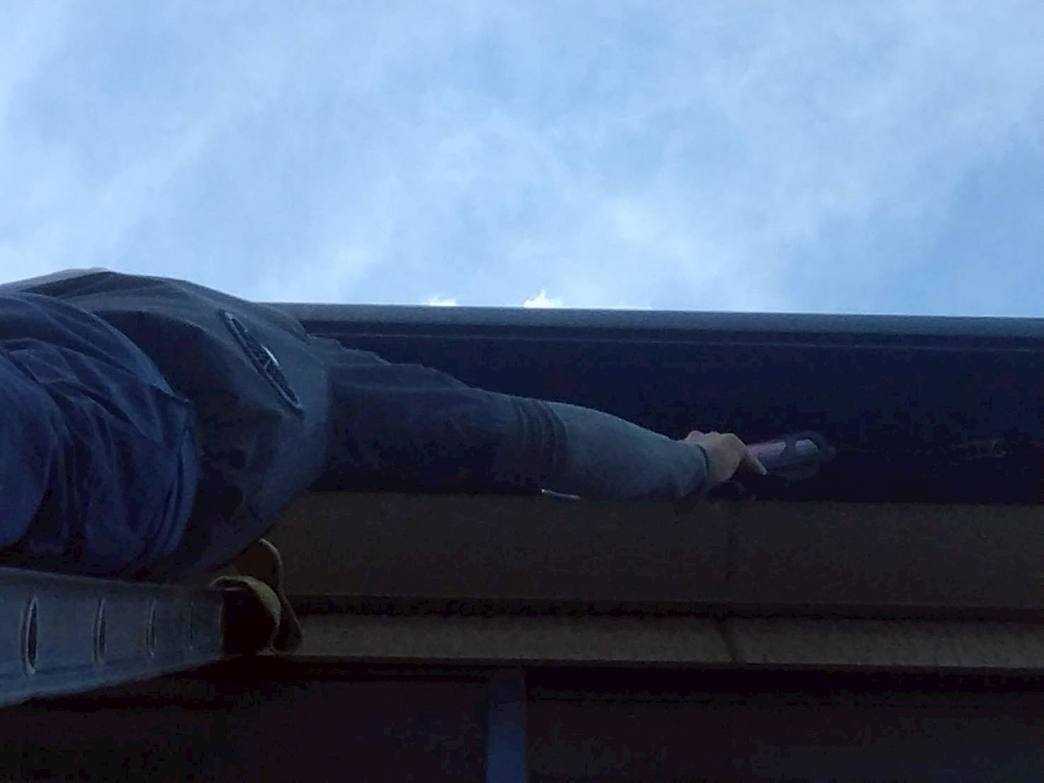 兵庫県神戸市のご住宅にてコウモリ防除工事の施工前写真