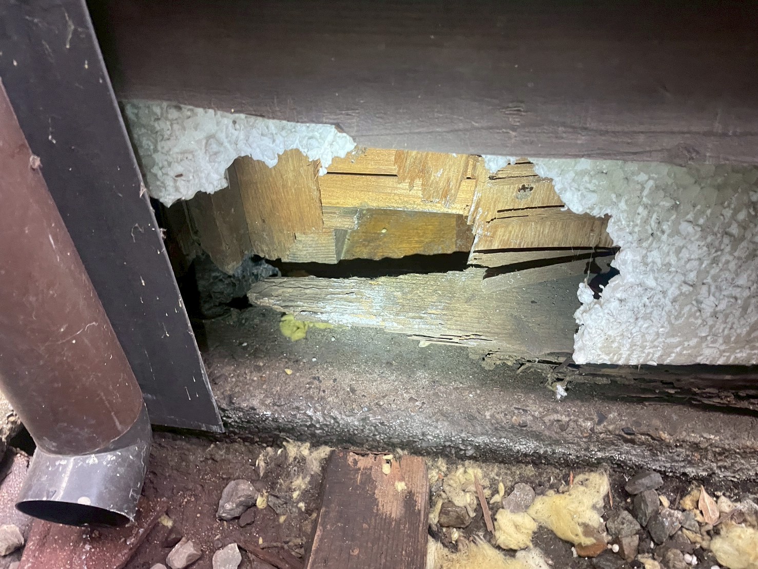 兵庫県神戸市のご住宅にて害獣防除工事の施工前写真