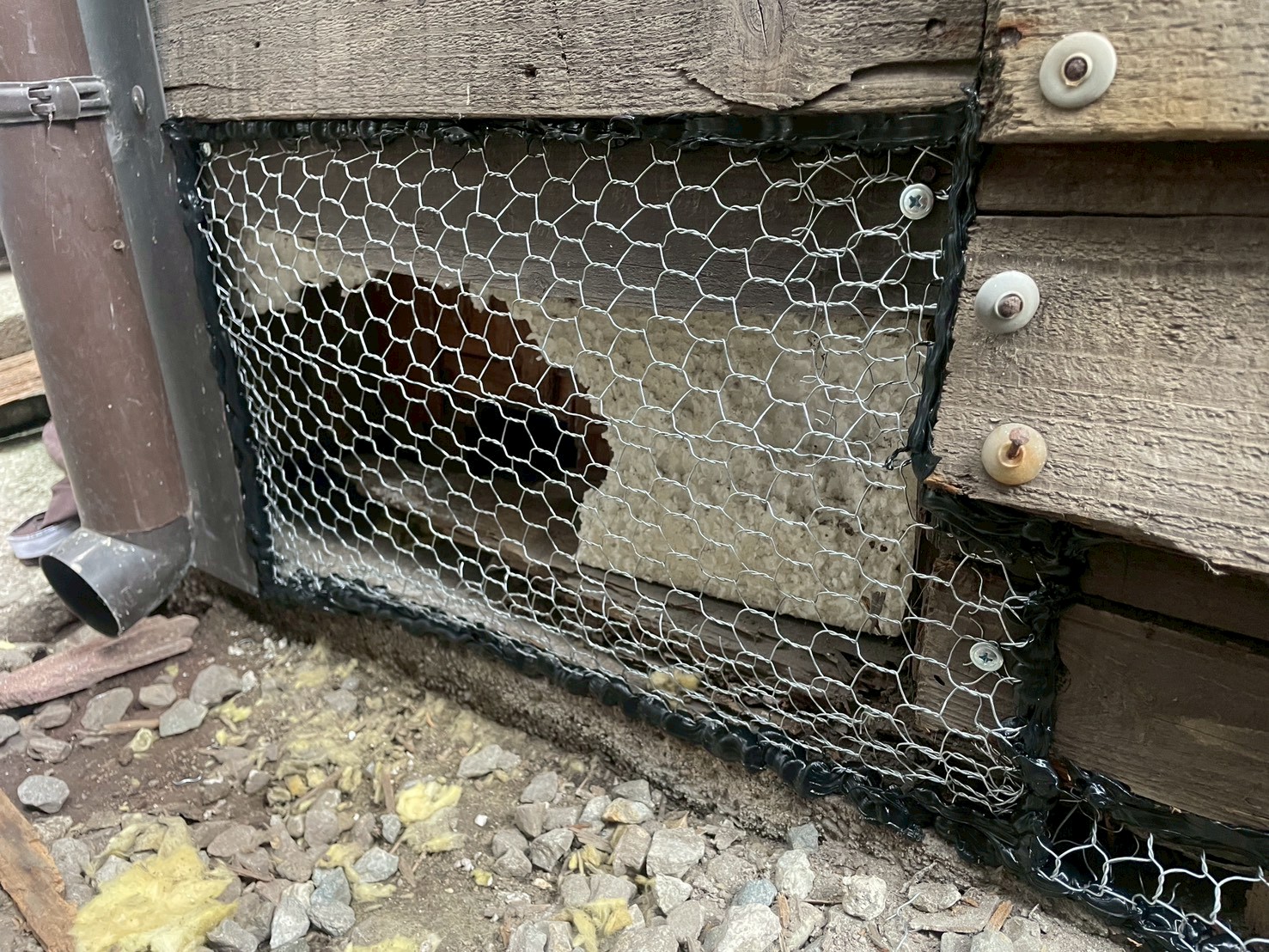 兵庫県神戸市のご住宅にて害獣防除工事の施工後写真